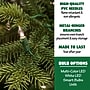 Fraser Hill Farm 9 ft. Carmel Pine Pre-Lit Artificial Christmas Tree, 900 Lights (FFCP090-5GR)	~#|#~sp227533101_sc7