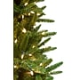 Fraser Hill Farm 9 ft. Carmel Pine Pre-Lit Artificial Christmas Tree, 900 Lights (FFCP090-5GR)	~#|#~sp227533105_sc7