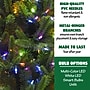 Fraser Hill Farm 9 ft. Carmel Pine Pre-Lit Artificial Christmas Tree, 900 Lights (FFCP090-6GR)	~#|#~sp227533110_sc7