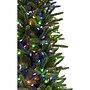 Fraser Hill Farm 6.5 ft. Carmel Pine Pre-Lit Artificial Christmas Tree, 550 Lights (FFCP065-6GR)	~#|#~sp227533119_sc7