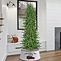Fraser Hill Farm 6.5 ft. Carmel Pine Pre-Lit Artificial Christmas Tree, 800 Lights (FFCP065-5MGR)	~#|#~sp227533333_sc7