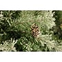 Fraser Hill Farm 6.5 ft. Buffalo Fir Pre-Lit Artificial Christmas Tree, 400 Lights (FFBF065-6SN)~#|#~sp227533722_sc7