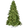 Fraser Hill Farm 8 ft. Asheville Pine Pre-Lit Artificial Christmas Tree, 850 Lights (FFAV080-5GR)	~#|#~sp227533793_sc7