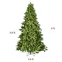 Fraser Hill Farm 8 ft. Asheville Pine Pre-Lit Artificial Christmas Tree, 850 Lights (FFAV080-5GR)	~#|#~sp227533794_sc7
