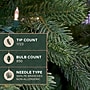 Fraser Hill Farm 8 ft. Asheville Pine Pre-Lit Artificial Christmas Tree, 850 Lights (FFAV080-5GR)	~#|#~sp227533803_sc7