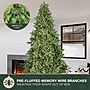 Fraser Hill Farm 8 ft. Asheville Pine Pre-Lit Artificial Christmas Tree, 850 Lights (FFAV080-5GR)	~#|#~sp227533804_sc7