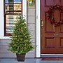Fraser Hill Farm 5-ft. Adirondack Pre Lit Potted Christmas Tree Decor (FFAD060P-5GR)~#|#~sp227539508_sc7