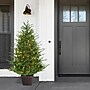 Fraser Hill Farm 5-ft. Adirondack Pre Lit Potted Christmas Tree Decor (FFAD060P-5GR)~#|#~sp227539509_sc7