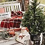 Fraser Hill Farm 4.0-Ft Adirondack Pre Lit Potted Christmas Tree Decor (FFAD048P-5GR)~#|#~sp227539515_sc7