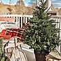 Fraser Hill Farm 4.0-Ft Adirondack Pre Lit Potted Christmas Tree Decor (FFAD048P-5GR)~#|#~sp227539516_sc7