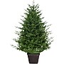Fraser Hill Farm 4-Ft. Adirondack Potted Christmas Tree Decor (FFAD048P-0GR)~#|#~sp227539518_sc7