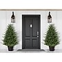Fraser Hill Farm 4-Ft. Adirondack Potted Christmas Tree Decor (FFAD048P-0GR)~#|#~sp227539521_sc7