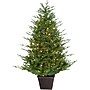 Fraser Hill Farm 4.0-Ft Adirondack Pre Lit Potted Christmas Tree Decor (FFAD048P-5GR)~#|#~sp227539523_sc7