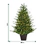 Fraser Hill Farm 5-ft. Adirondack Pre Lit Potted Christmas Tree Decor (FFAD060P-5GR)~#|#~sp227539712_sc7