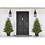 Fraser Hill Farm 5-ft. Adirondack Pre Lit Potted Christmas Tree Decor (FFAD060P-5GR)~#|#~sp227539715_sc7