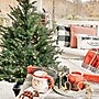 Fraser Hill Farm 4.0-Ft Adirondack Pre Lit Potted Christmas Tree Decor (FFAD048P-5GR)~#|#~sp227539721_sc7