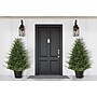 Fraser Hill Farm 5-Ft. Adirondack Potted Christmas Tree Décor (FFAD060P-0GR)~#|#~sp227539725_sc7