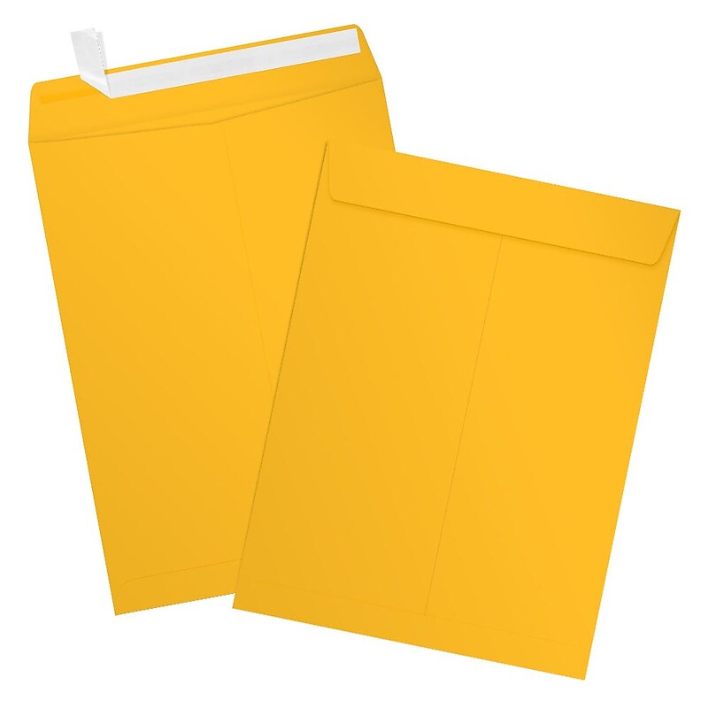 JAM Paper 9 x 12 Open End Envelopes, Peel & Press, Sunflower Yellow, 500/Pack (EX4894-12-500) image 1