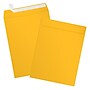 JAM Paper 9 x 12 Open End Envelopes, Sunflower, 250/Pack (EX4894-12-250)~#|#~sp228873517_sc7