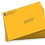 JAM Paper 9 x 12 Open End Envelopes, Sunflower, 250/Pack (EX4894-12-250)~#|#~sp228873518_sc7
