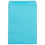 JAM Paper 9 x 12 Open-End Envelopes ,Pool , 50 Pack, Blue (LUX-4894-102-50)~#|#~sp228873537_sc7