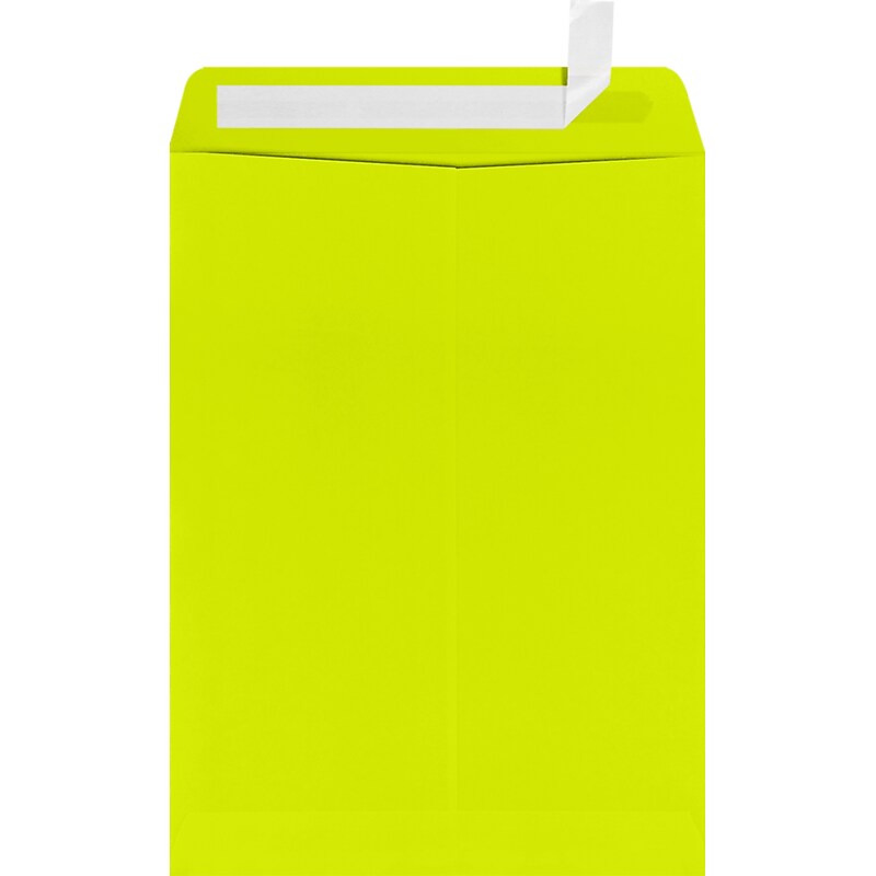JAM Paper 9 x 12 Open End Envelopes, Wasabi , 50 Pack, Yellow (LUX-4894-L22-50) image 1