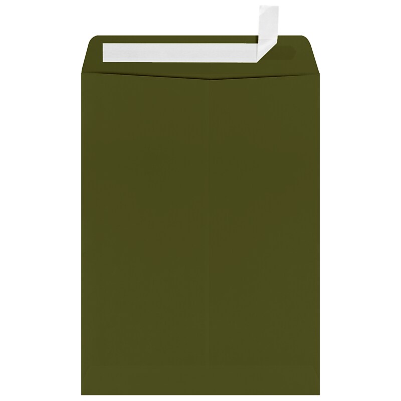 JAM Paper 9 x 12 Catalog Mailing Envelopes, Olive Green, 50 Pack (4894-81-50) image 1
