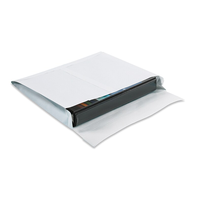 Ship-Lite Self Seal Booklet Envelope 10" x 15", White, 100/Carton (SLE10152WS) image 1