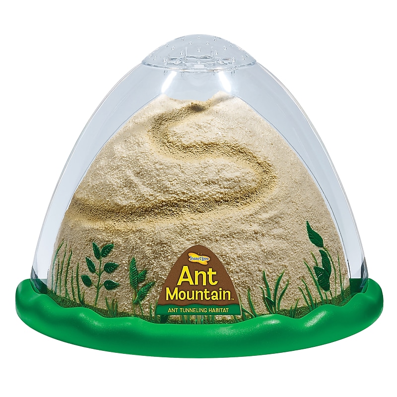 Insect Lore Ant Mountain Viewing Habitat (ILP5510) image 1