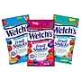 Welch's Gluten Free Mixed Fruit Snacks Variety Pack, 2.25 oz., 20/Pack (220-02253)~#|#~sp231684530_sc7