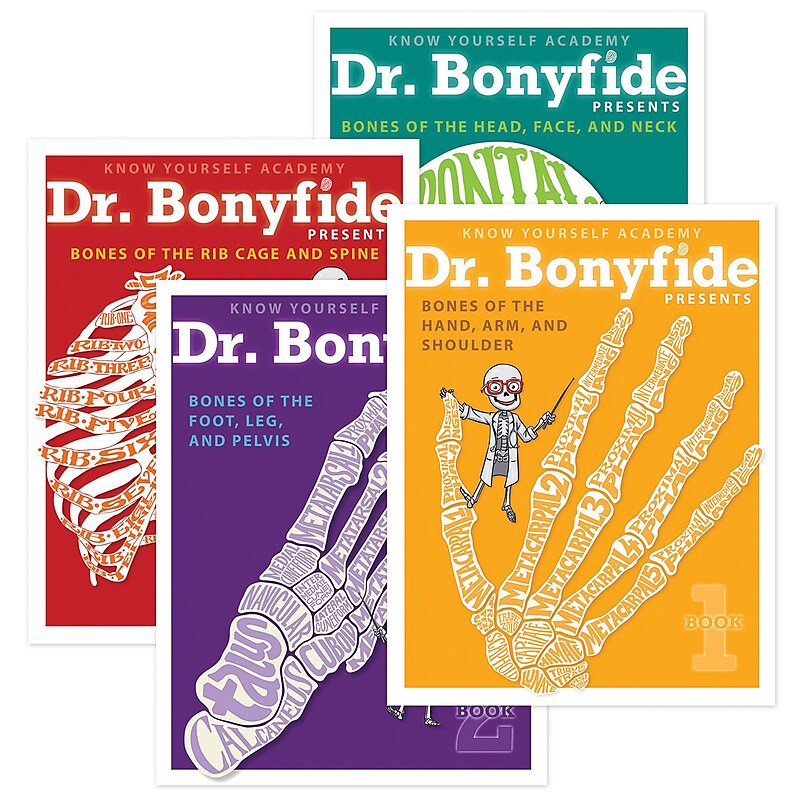 Know Yourself 206 Bones of the Human Body by Dr. Bonyfide, 4 Book Set  (KWYDRB4BB) image 1