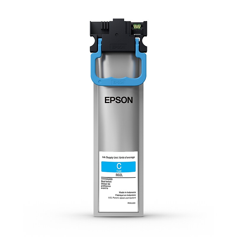 Epson R02L Cyan Standard Yield Ink Cartridge image 1