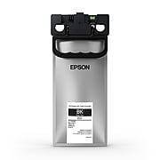 Epson R02L Black Standard Yield Ink Cartridge