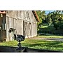 VOSKER V150 Outdoor Wired/Wireless Solar Security Camera, Black (V150-US)~#|#~sp237063333_sc7