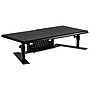 Allsop Metal Art ErgoTwin Dual Monitor Stand, Holds Up to 24" Monitors, Black (ALS31883)~#|#~sp23761967_sc7