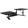 Allsop Metal Art ErgoTwin Dual Monitor Stand, Holds Up to 24" Monitors, Black (ALS31883)~#|#~sp23761968_sc7