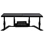 Allsop Metal Art ErgoTwin Dual Monitor Stand, Holds Up to 24" Monitors, Black (ALS31883)~#|#~sp23761970_sc7