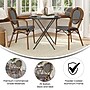 Flash Furniture Lourdes Indoor/Outdoor French Bistro Stack Chair with Arms, Black/White/Natural, 2/Pack (2SDA6422ABWNAT)~#|#~sp238329583_sc7