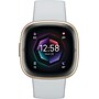 Google Fitbit Sense 2 Smart Watch, Misty Blue, Soft Gold Aluminum (FB521GLBM-US)~#|#~sp239297352_sc7