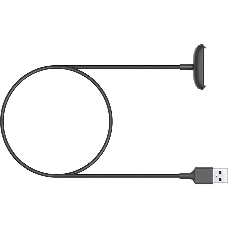 Google Fitbit Inspire 2 Charging Cable, Black (FB177RCC) image 1
