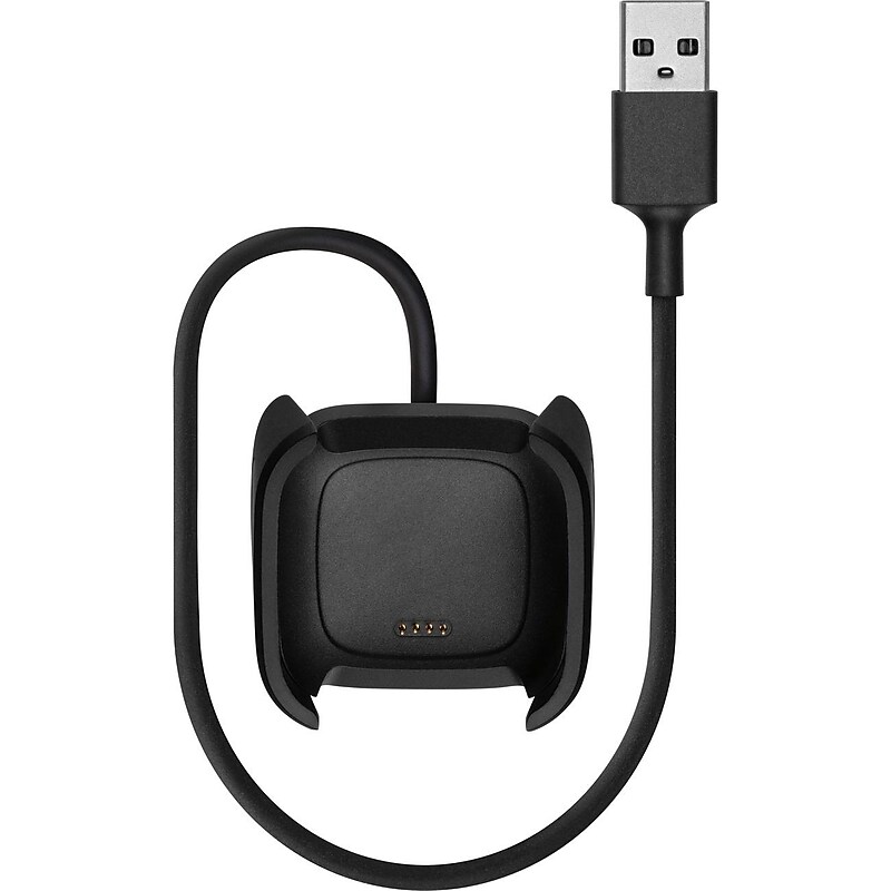 Google Fitbit Charging Cable For Versa 2 Smartwatch, Black (FB171RCC) image 1