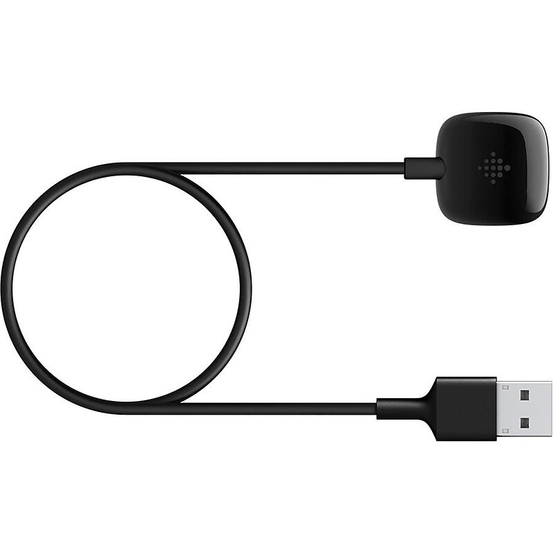 Google Fitbit Smartwatch Charging Cable, Black (FB174RCC) image 1