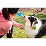 Vapur EZ Lick Plastic Dog Water Bottle, 23 oz., Water (30147)~#|#~sp240295253_sc7
