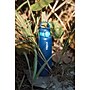 Vapur Chill Stainless Steel Double Wall Insulated Water Bottle, 20 oz., Admiral Blue (30181)~#|#~sp240295279_sc7