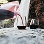 Vapur Portable Plastic Wine Carrier, 25 oz., Maroon (40022 )~#|#~sp240295284_sc7