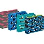 Barker Creek Sea & Sky Eagles File Folder, 1/3-Cut Tab, Letter Size, Assorted Colors, 107/Set (148)~#|#~sp241460850_sc7