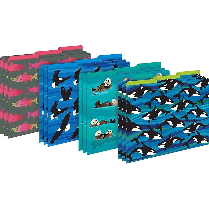 Barker Creek Sea & Sky File Folder, 1/3-Cut Tab, Letter Size, Assorted Colors, 12/Pack (2015) image 1