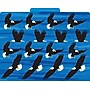 Barker Creek Sea & Sky File Folder, 1/3-Cut Tab, Letter Size, Assorted Colors, 12/Pack (2015)~#|#~sp241539365_sc7