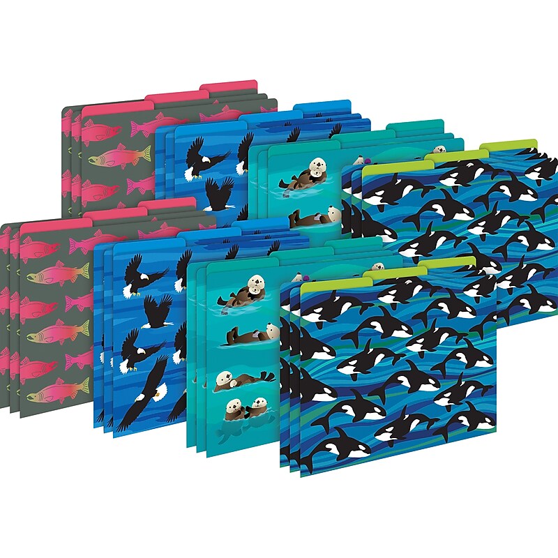 Barker Creek Sea & Sky File Folder, 1/3-Cut Tab, Letter Size, Assorted Colors, 24/Set (4404) image 1