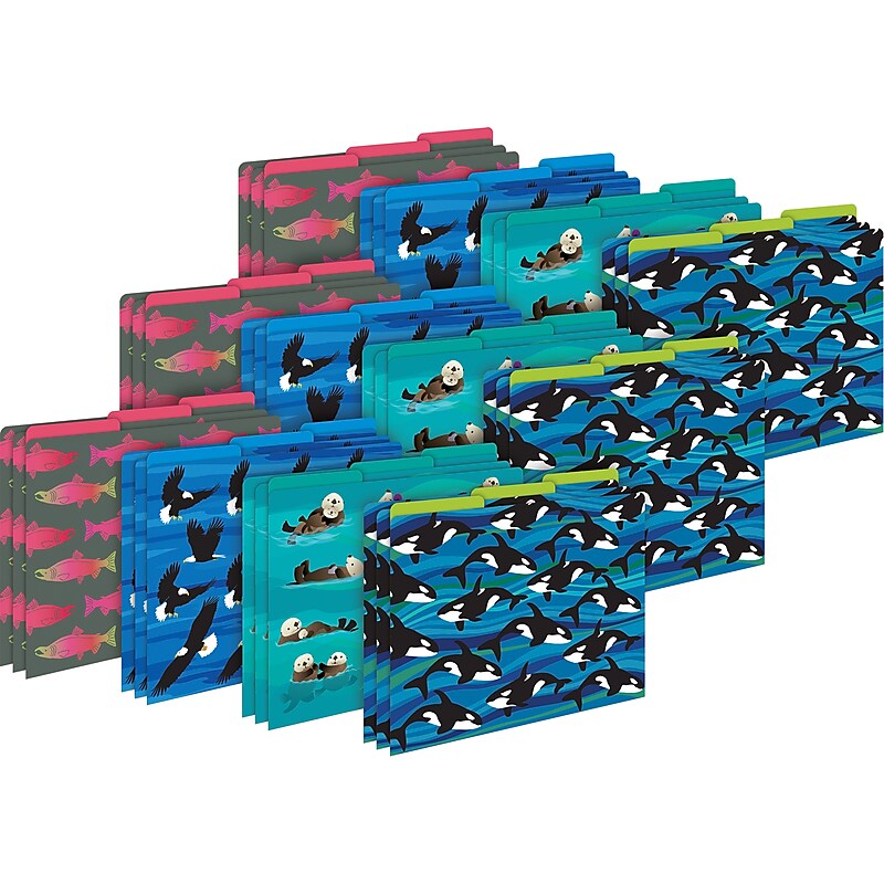 Barker Creek Sea & Sky File Folder, 1/3-Cut Tab, Letter Size, Assorted Colors, 36/Set (4405) image 1